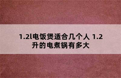 1.2l电饭煲适合几个人 1.2升的电煮锅有多大